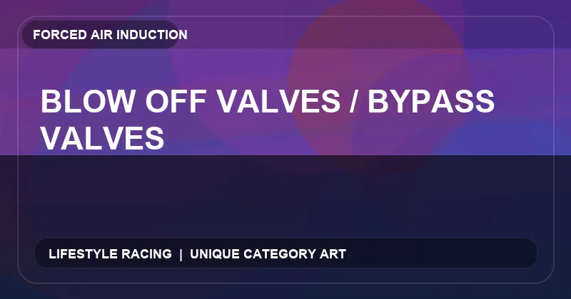 Blow Off Valves / Bypass Valves